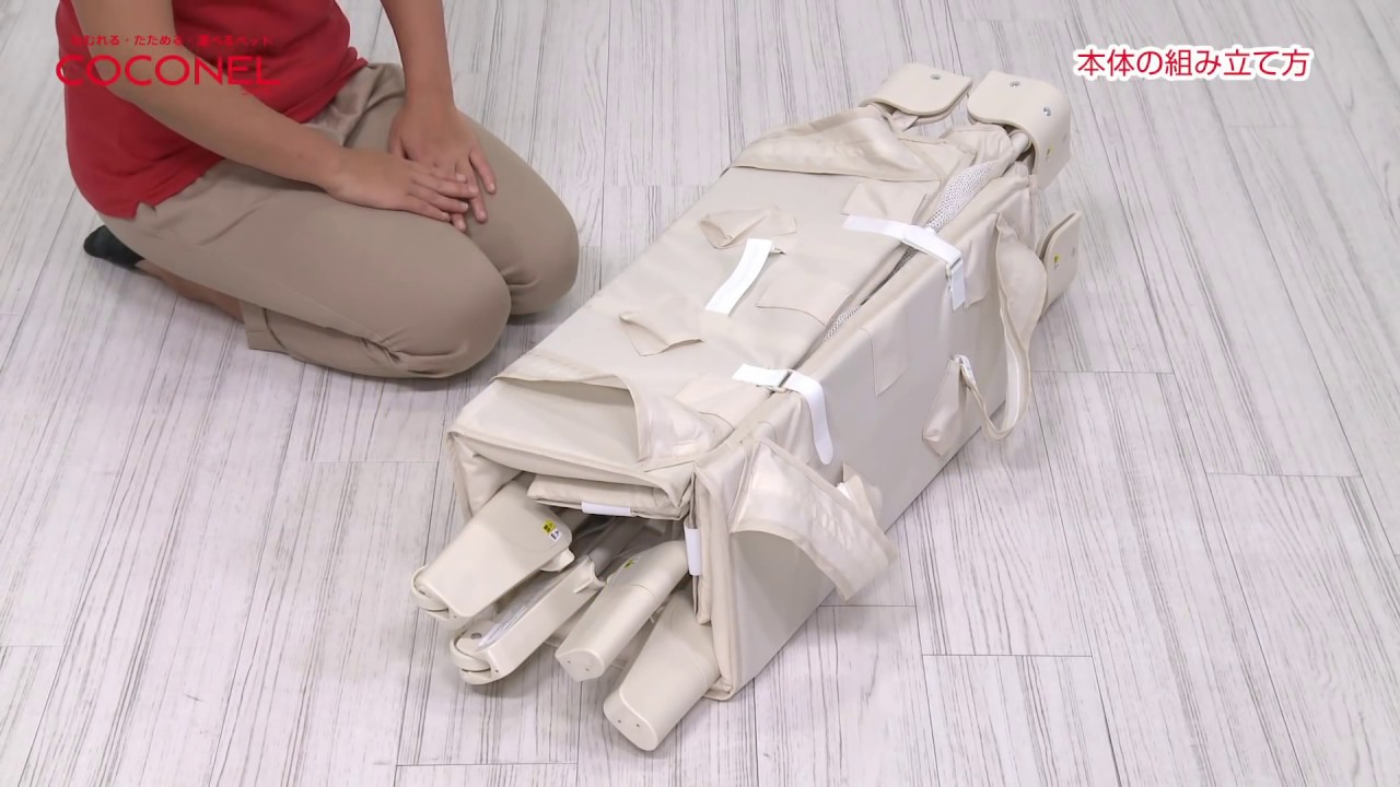 maxresdefault.jpg?sqp=-