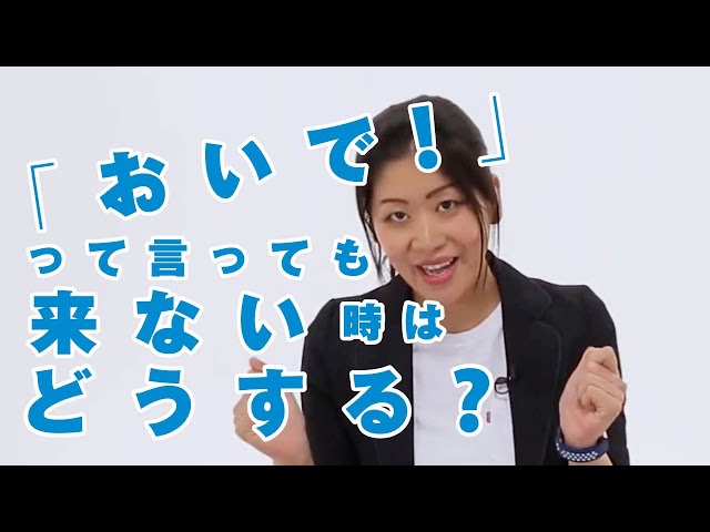 犬 おいで】犬のおいでの教え方！呼んでも帰ってこない人へ | プロ