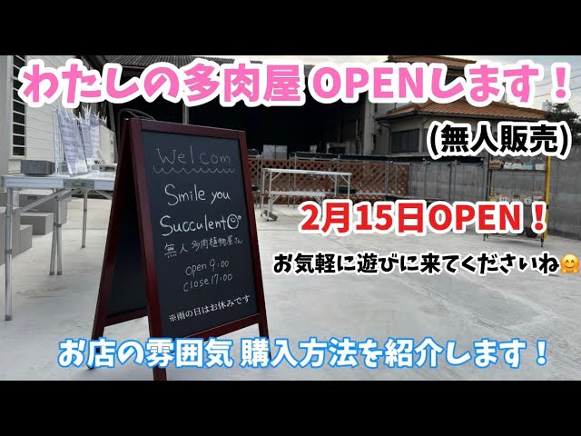Succulents] The long-awaited succulent shop is finally open
