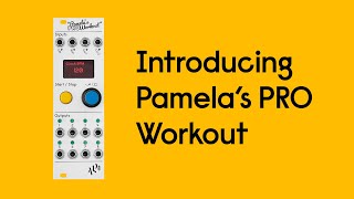ALM Busy Circuits Pamela's PRO Workout - Control Voltage