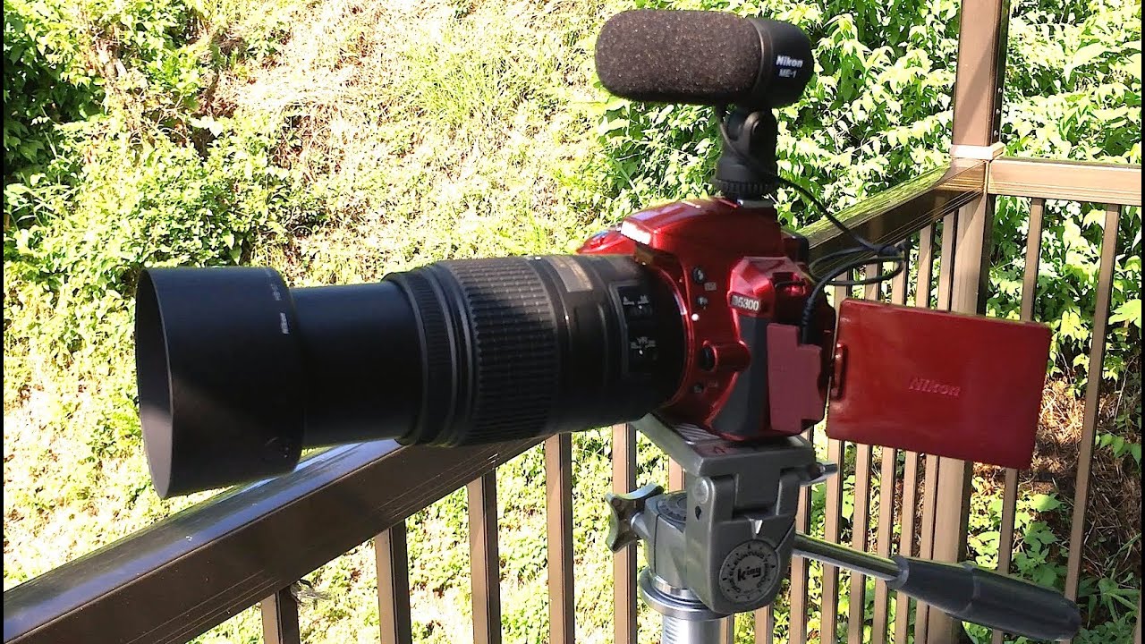 Nikon ステレオマイクロホン ME-1 テスト - YouTube