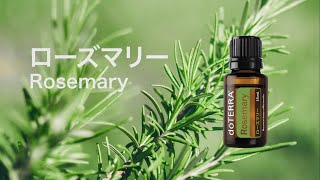 ローズ - doTERRA TIMES