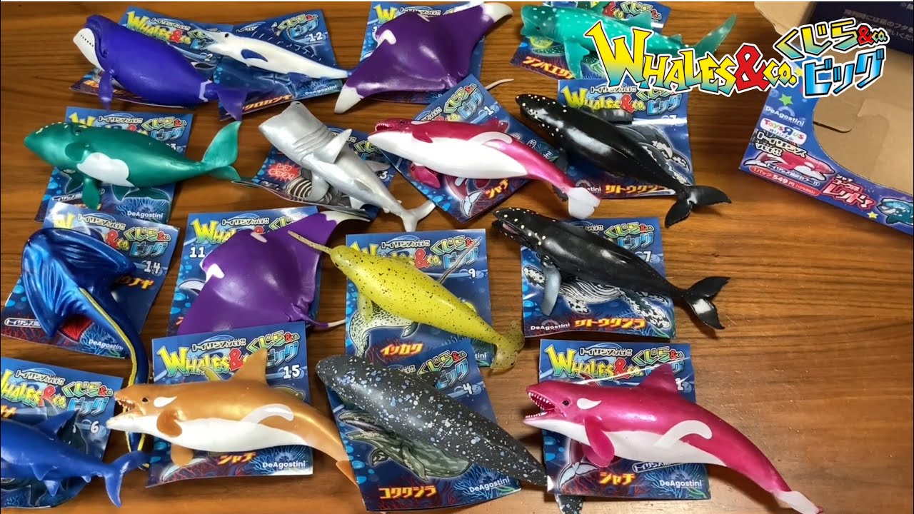 デアゴスティーニ】くじら&Co. ビッグ トイザらス限定ver アンドコ