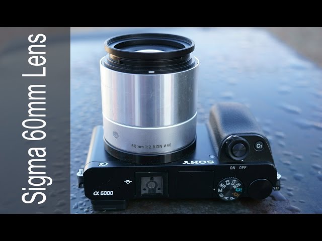 Sigma 60mm f2.8 DN Art Lens on the Sony a6000 - In Depth Review