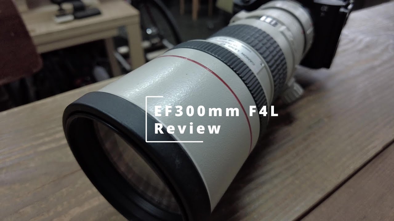 Canon ef300mm F4L USM のレビュー Metabones ef-e mark iv EF1.4x の