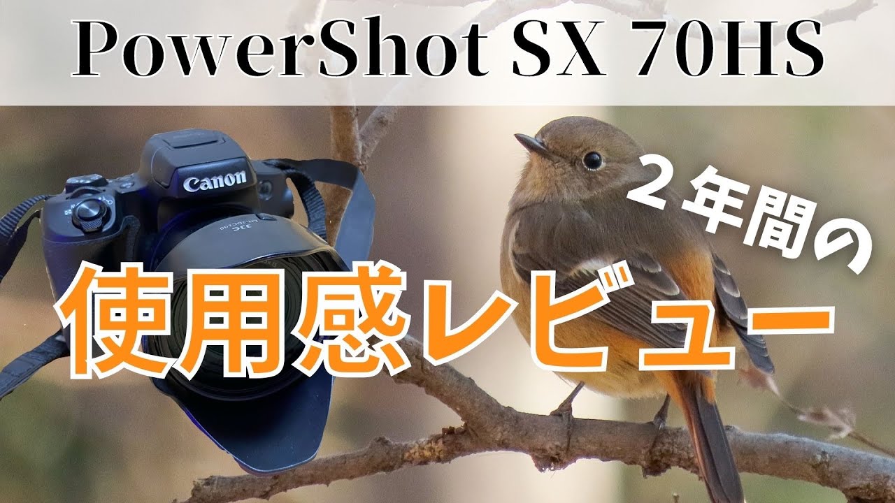 PowerShot SX70HSを徹底レビュー！2年間野鳥撮影に使い続けた結果