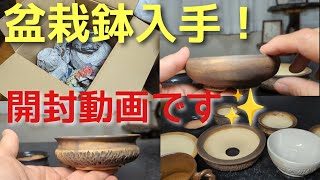 盆栽鉢入手！開封動画です - YouTube