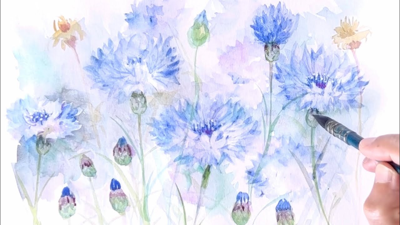 水彩画]初夏の一年草ヤグルマギクを水彩ガッシュで描く/watercolor