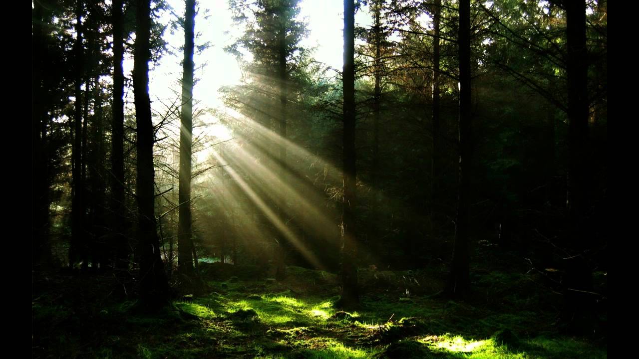 Filo & Peri feat. Eric Lumiere - Anthem (Original Mix)[HD] - YouTube