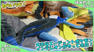 ねらいうち】大きなエージェントポケモン インテレオンがやってきた