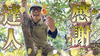 The fish on the cliff loves to give back! [Loquat hunting life