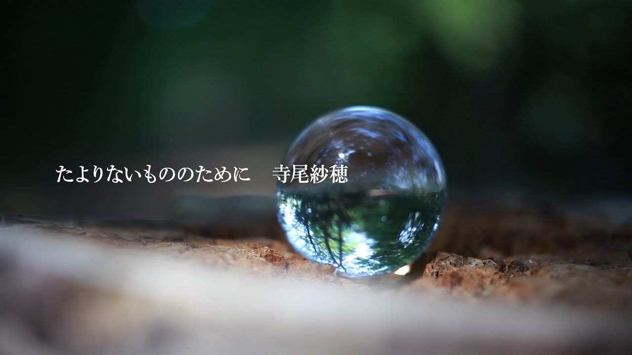 寺尾紗穂 - 楕円の夢 - YouTube