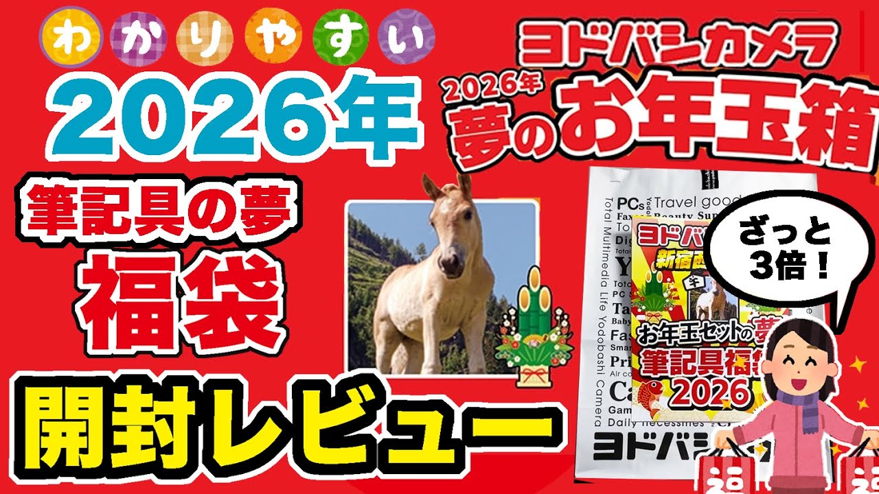 ヨドバシカメラ福袋】実はおすすめ！#2026福袋 #夢のお年玉箱 #夢の