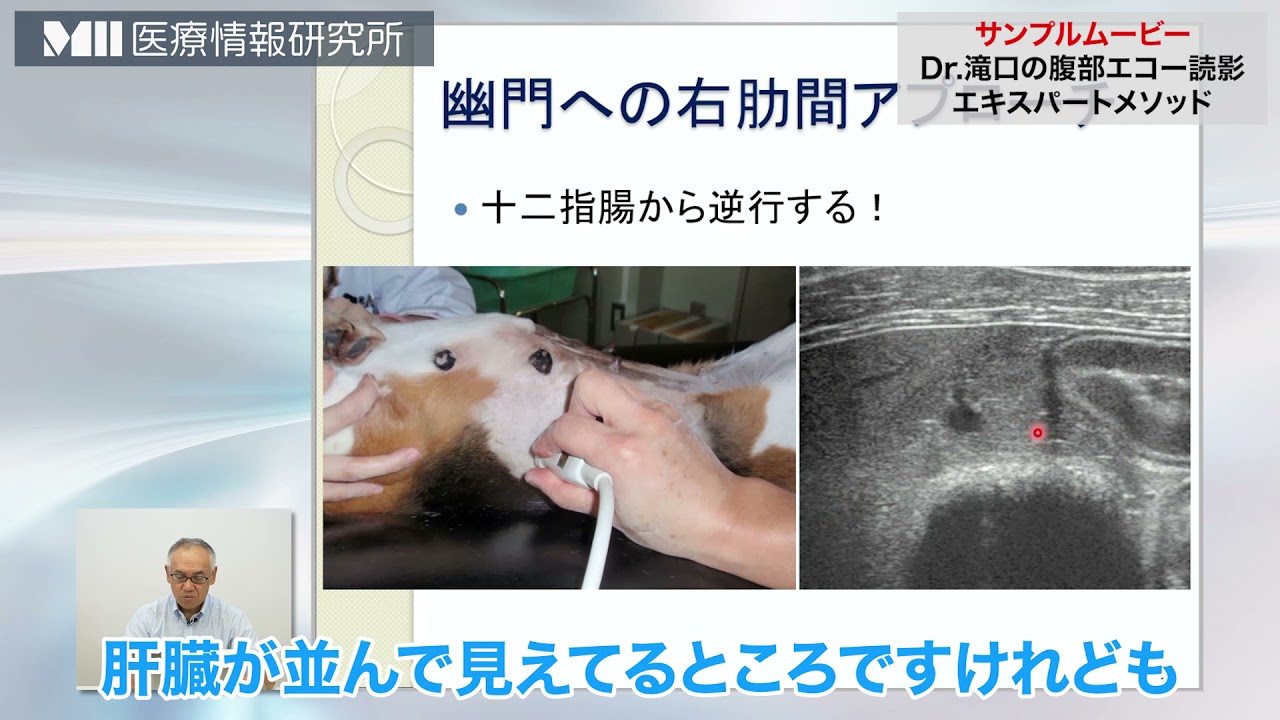 maxresdefault.jpg?sqp=-