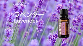 ラベンダー - doTERRA TIMES