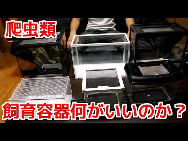 Which is the best reptile keeping cage? - YouTube