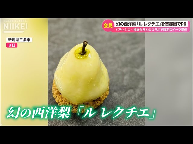 美品 レトロ ご当地モンチッチ 新潟限定 洋梨 美品 レトロ ご当地