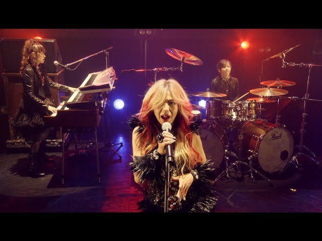 SHOW-YA - 勝手にしやがれ - YouTube