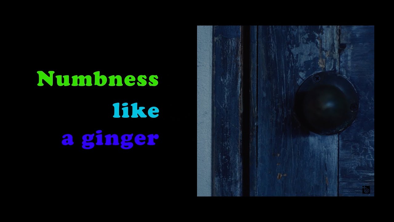 Ninth Peel （初回生産限定盤B） – TOY'S STORE