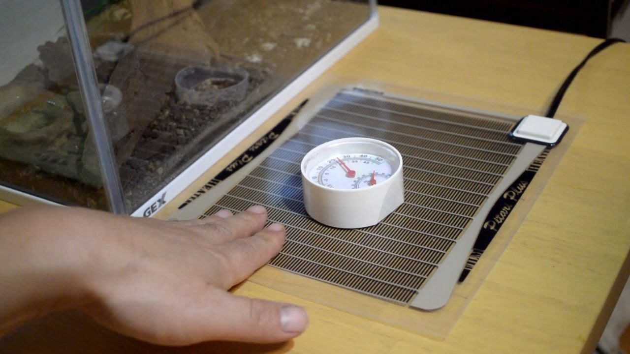 爬虫類用ヒーター 検証！ みどり商会 ピタリ適温プラス - YouTube