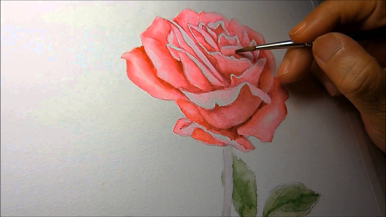 洋書】ROSES ボタニカルアート バラ 英国王立園芸協会アーカイブ 洋書