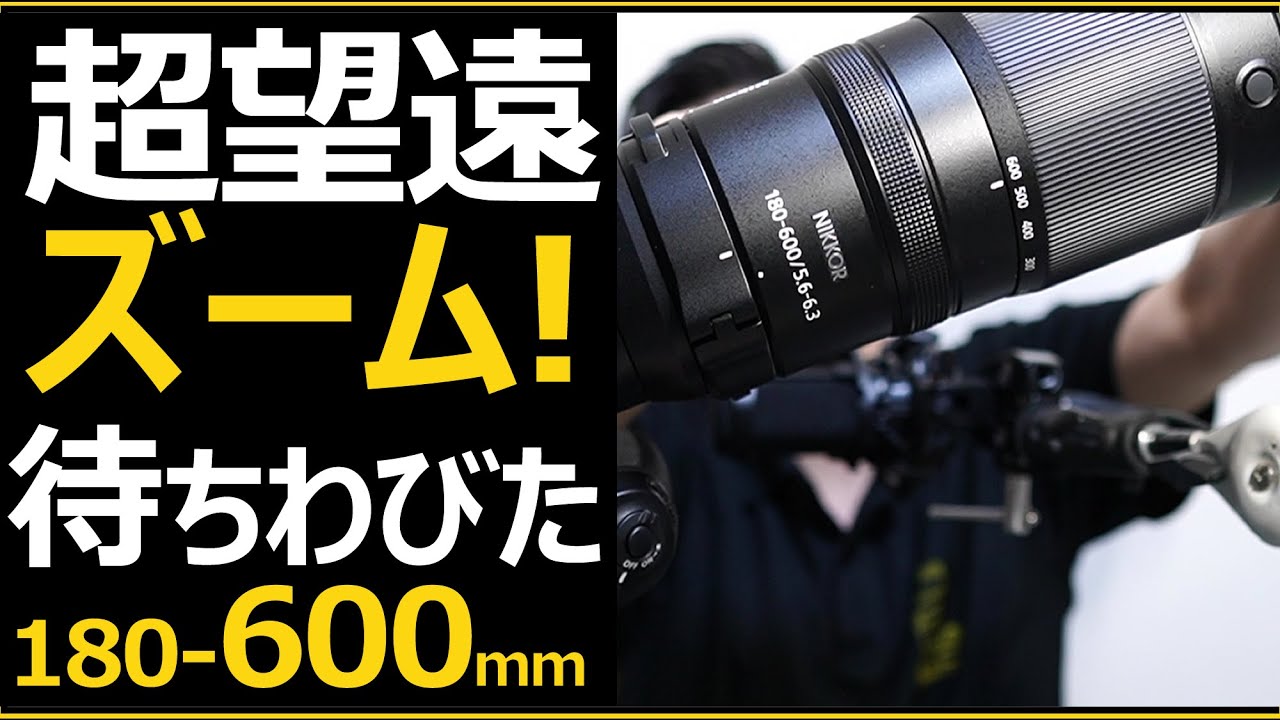 NIKKOR Z 180-600mm f/5.6-6.3 VR 【Nikon 超望遠ズームレンズ】 野鳥