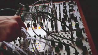Mannequins MANGROVE - Eurorack Module on ModularGrid