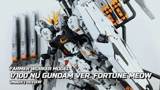 REVIEW] FARMER WORKER MODEL - 1/100 RX-93 NU (VER. FORTUNE MEOW