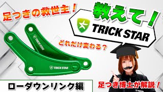 トリックスター / Ninja ZX-4R SE/ZX-4RR (24-26) / Ninja ZX-25RR (26