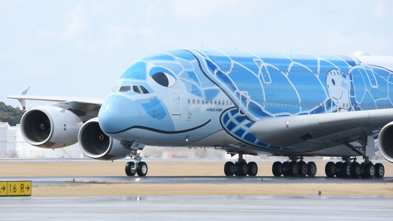 ANA debuts giant sea turtle jet for direct flights to Hawaii at