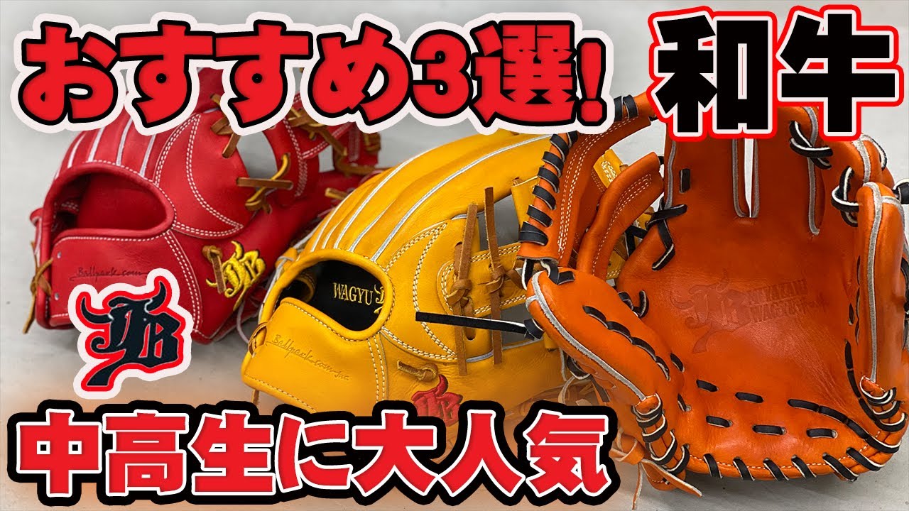 3 Recommendations] If you're looking for Wagyu JB infielder's