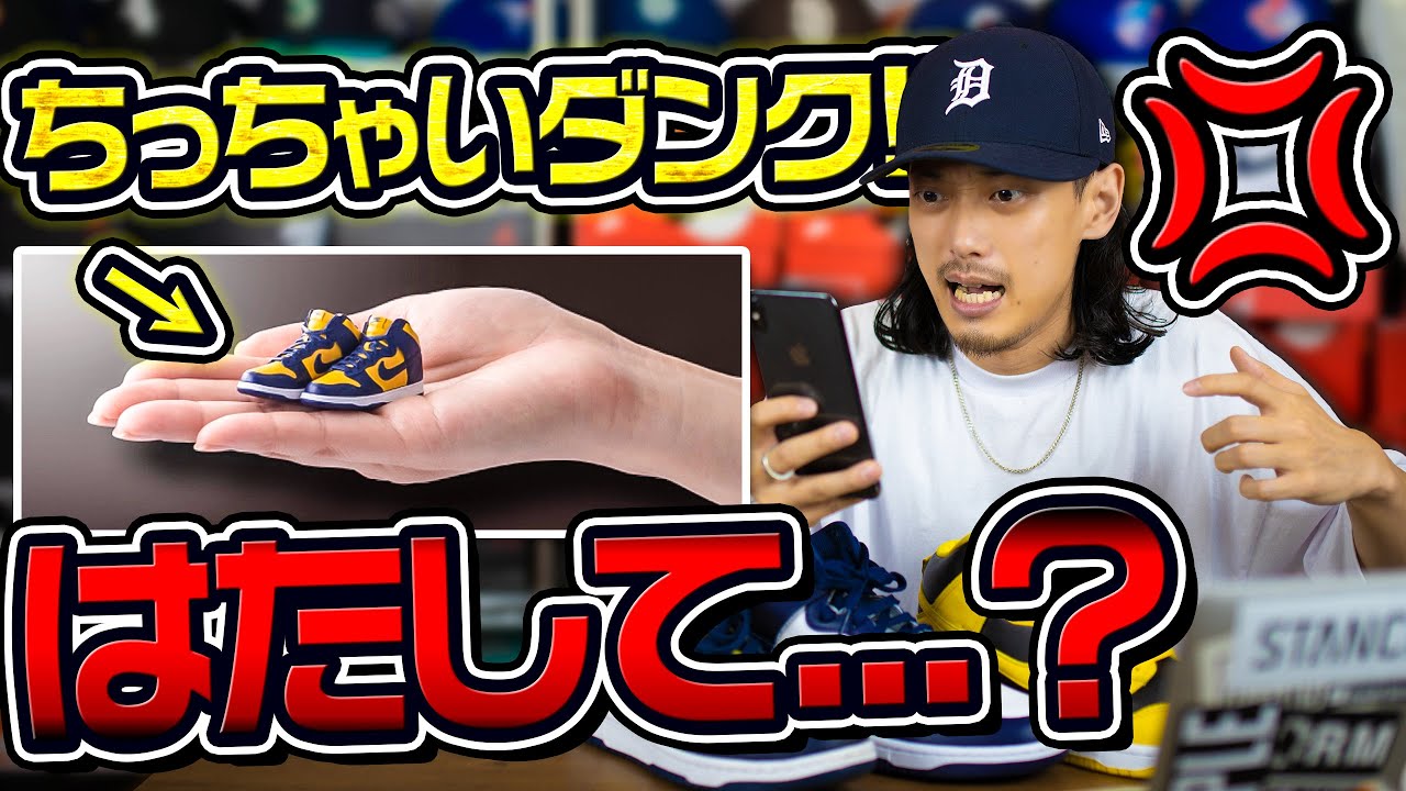 Gacha] Collect these! Palm-sized Dunks are here! [Sneakers] (Nike