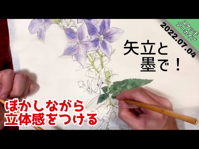 スケッチアーカイブ】矢立と顔彩で桔梗の日本画スケッチを描く/描き方