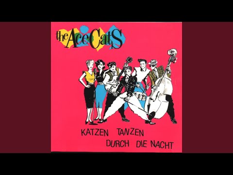 Katzen tanzen durch die Nacht - YouTube