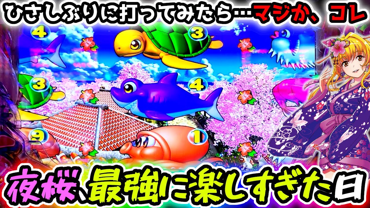 夜桜打ったら最高の楽しすぎました笑