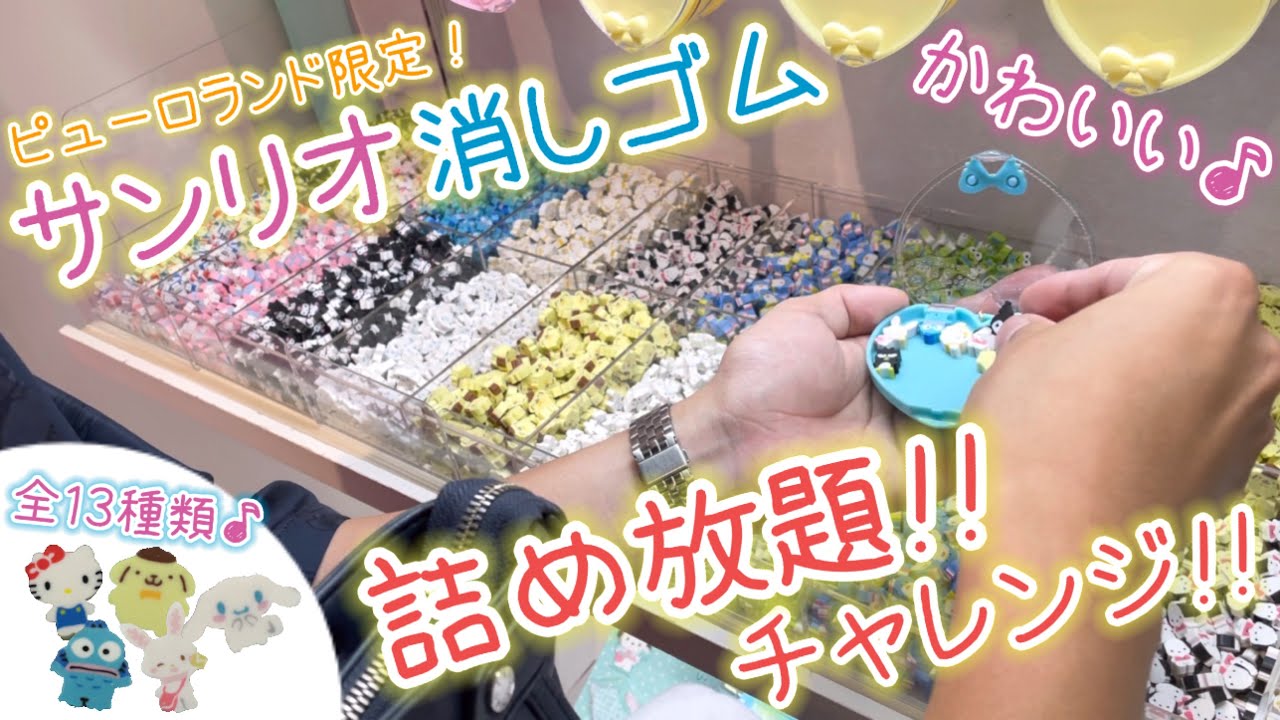 All-You-Can-Stuff Challenge!] Sanrio Tsumetsume Eraser Set