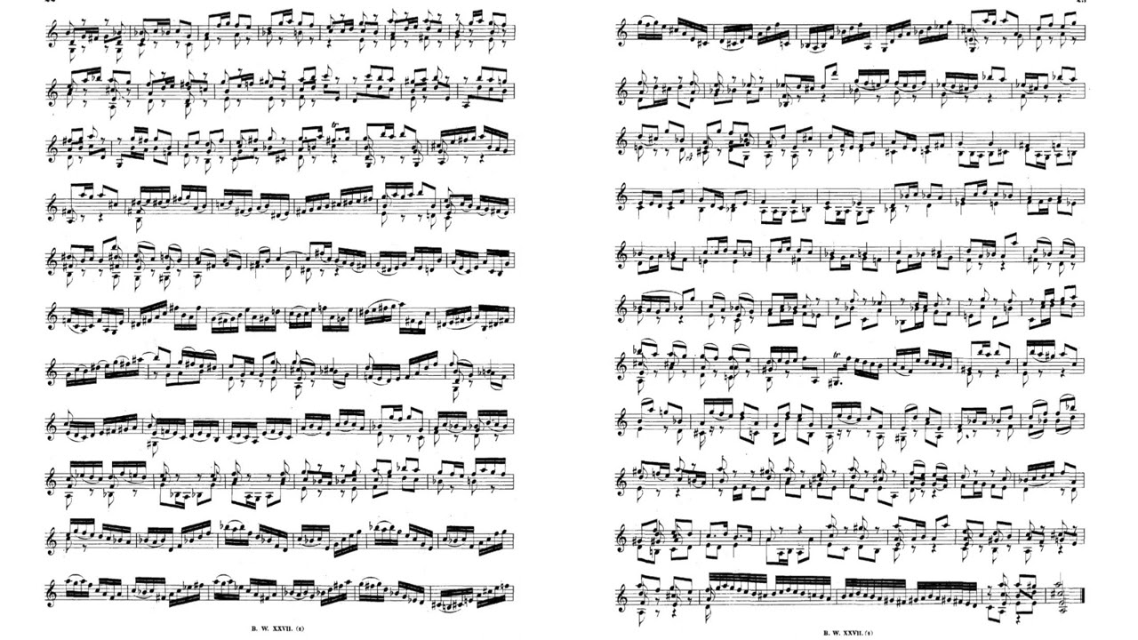 ヴァンハル：ピアノ協奏曲ハ長調Weinmann IIa：C5 【公式通販】