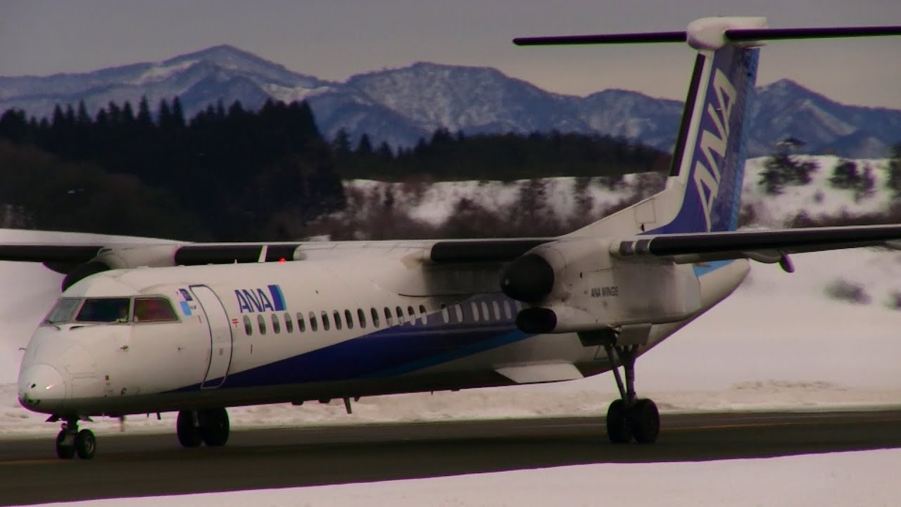 S*k様 AeroPolaris ANA WINGS B737-800 JA88 AeroPolaris ANA WINGS