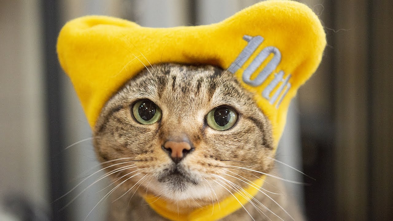 まるです18。-I am Maru 18.- - YouTube