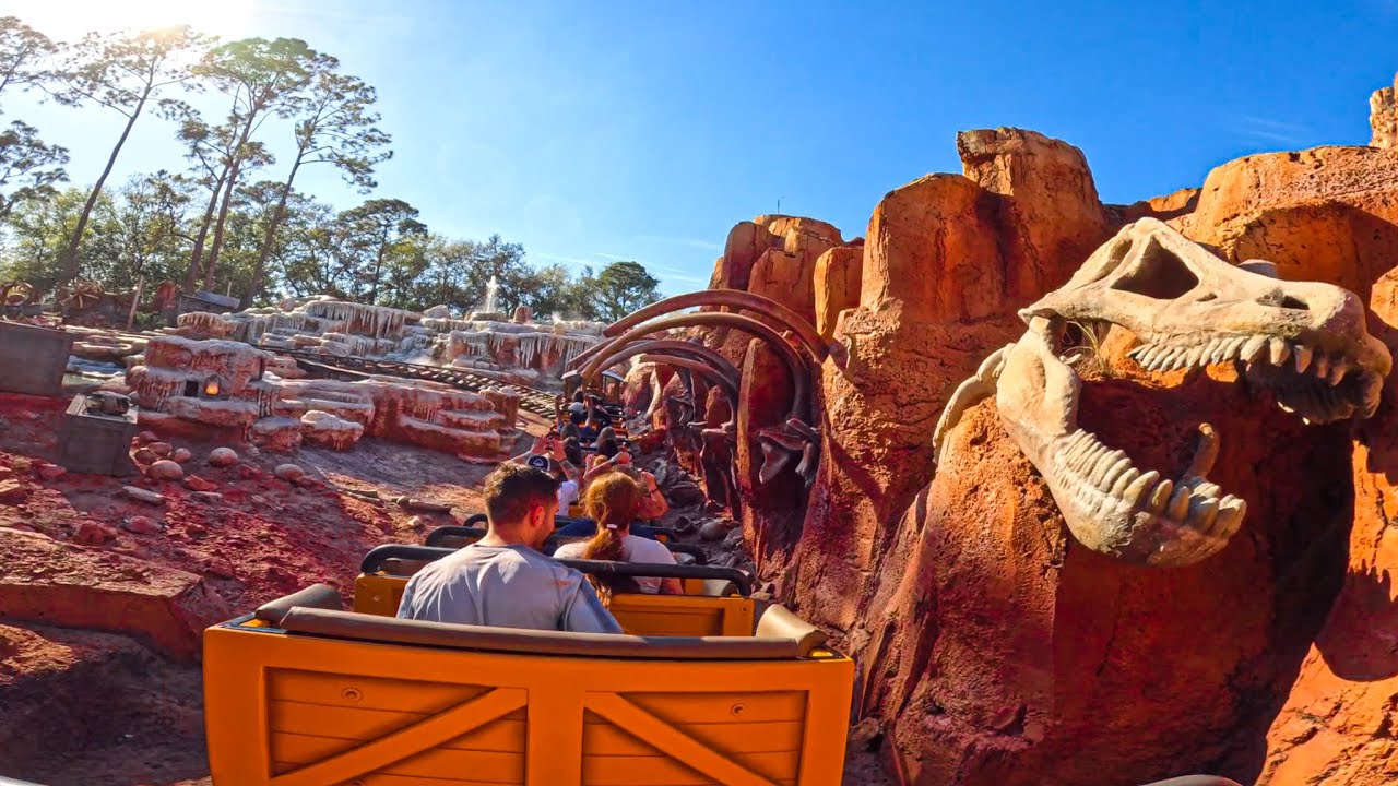 ディズニーダラー ミッキースティッチビッグサンダーマウンテン