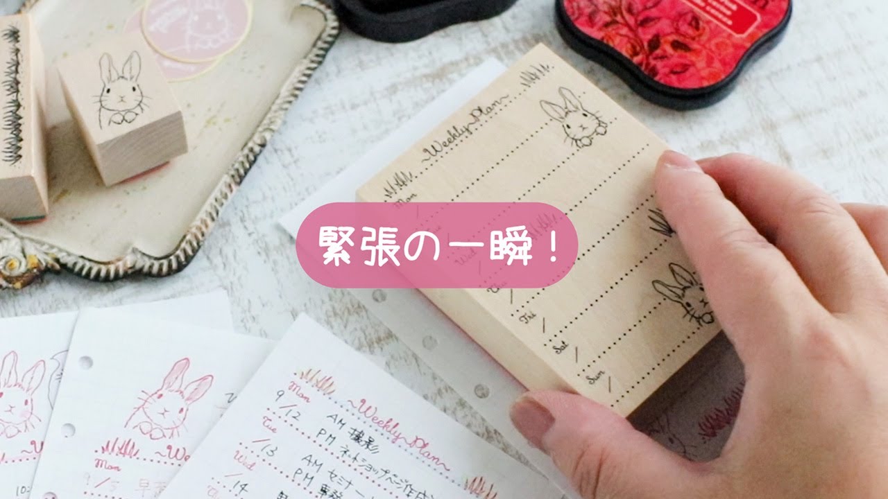 スタンプセット12点】えくりゅの森基本セット60通り以上の組み合わせ