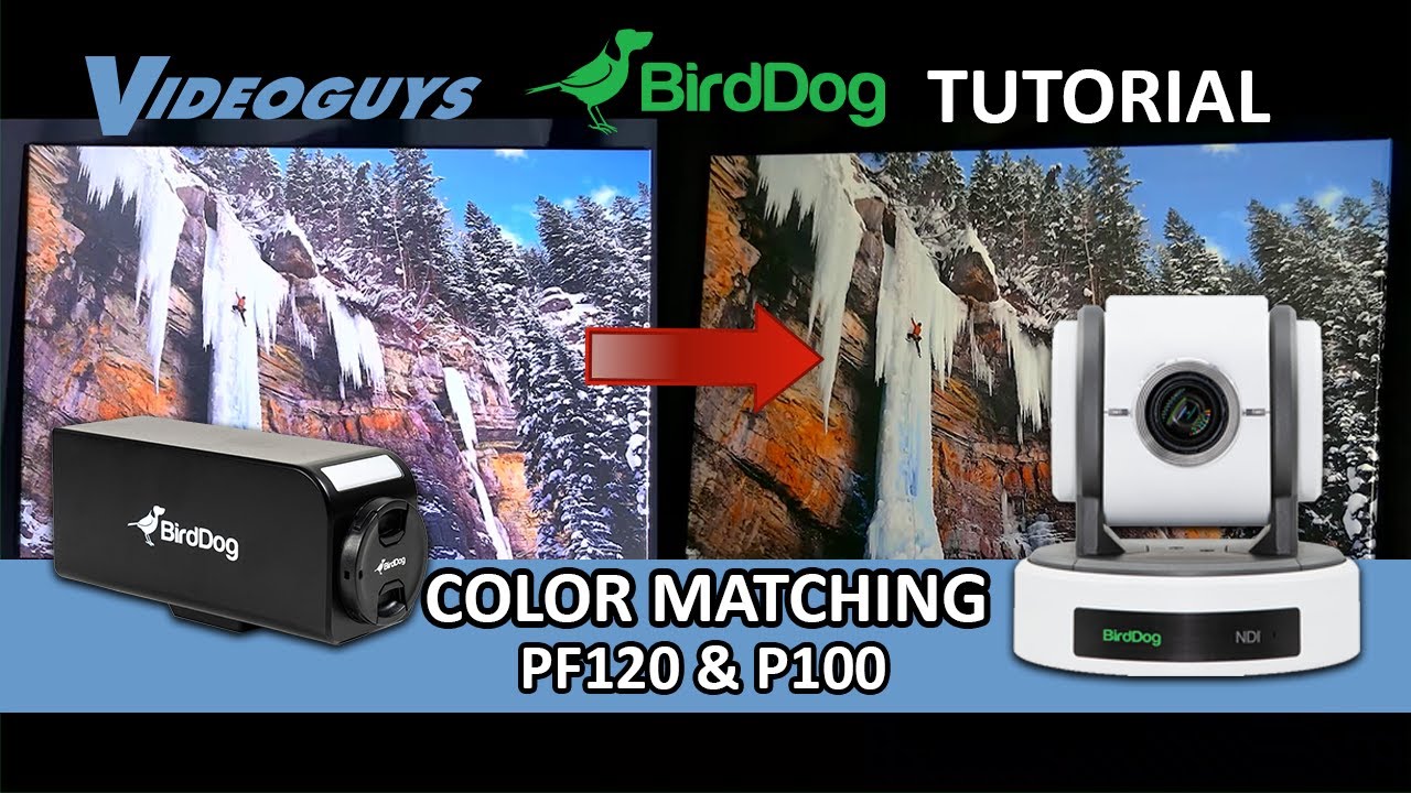 Color Match BirdDog's PF120 Box Camera & P100 PTZ Camera - YouTube