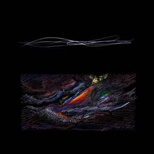 踊ってばかりの国 – Paradise Review – Vinyl (Gatefold, LP, Album