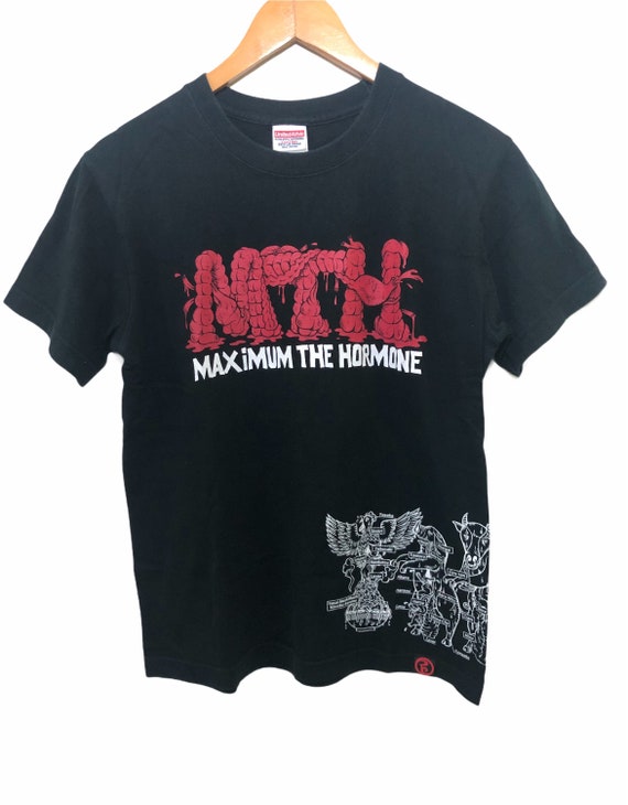 Rare Maximum the Hormone the Greatest the Hits Tour Promo Concert