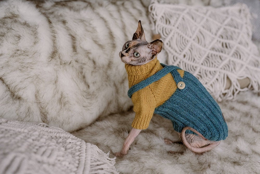 Hand Knit Sphynx Cat Jumpsuit Alpaca Wool Sweater for Cat Devon