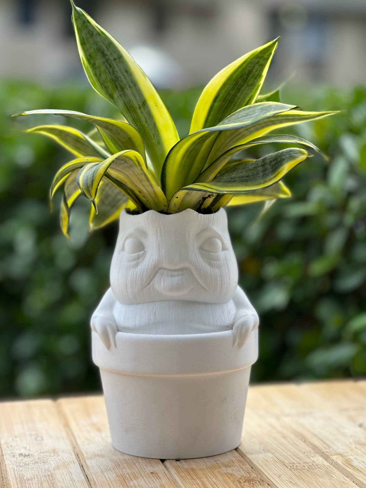 Mandrake 3D Printed Plant Pot Container - H Pot - Wizard Legacy