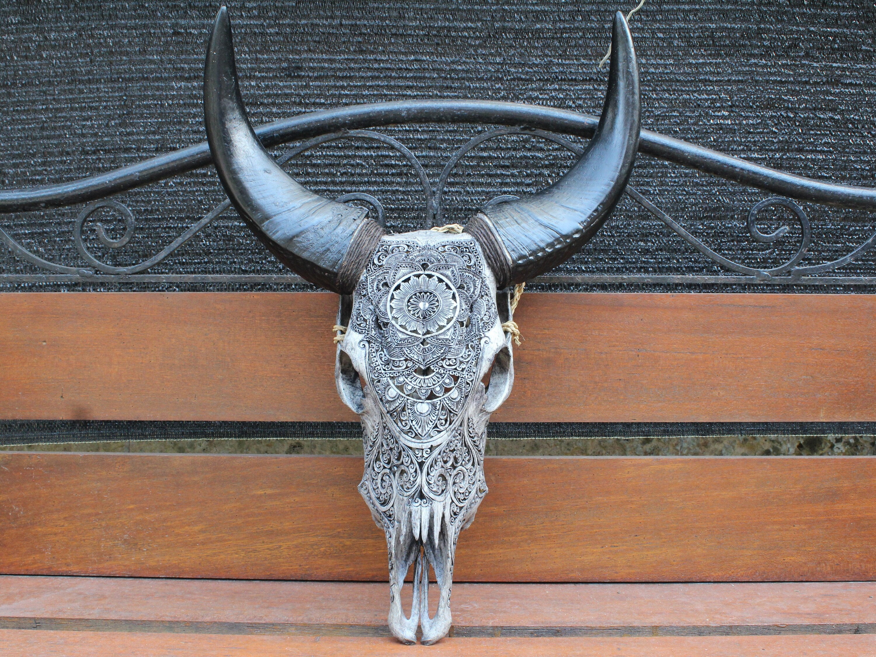 バッファローの角が付いた手彫りの牛の頭蓋骨：ブラックグレーの室内