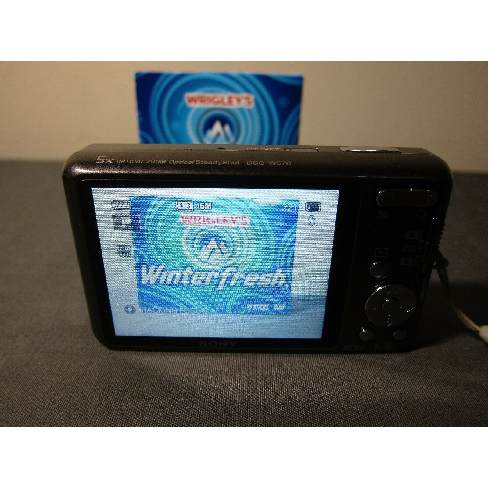 Sony Cyber-shot DSC-W570 16.1MP 5x Optical Digital Camera SILVER