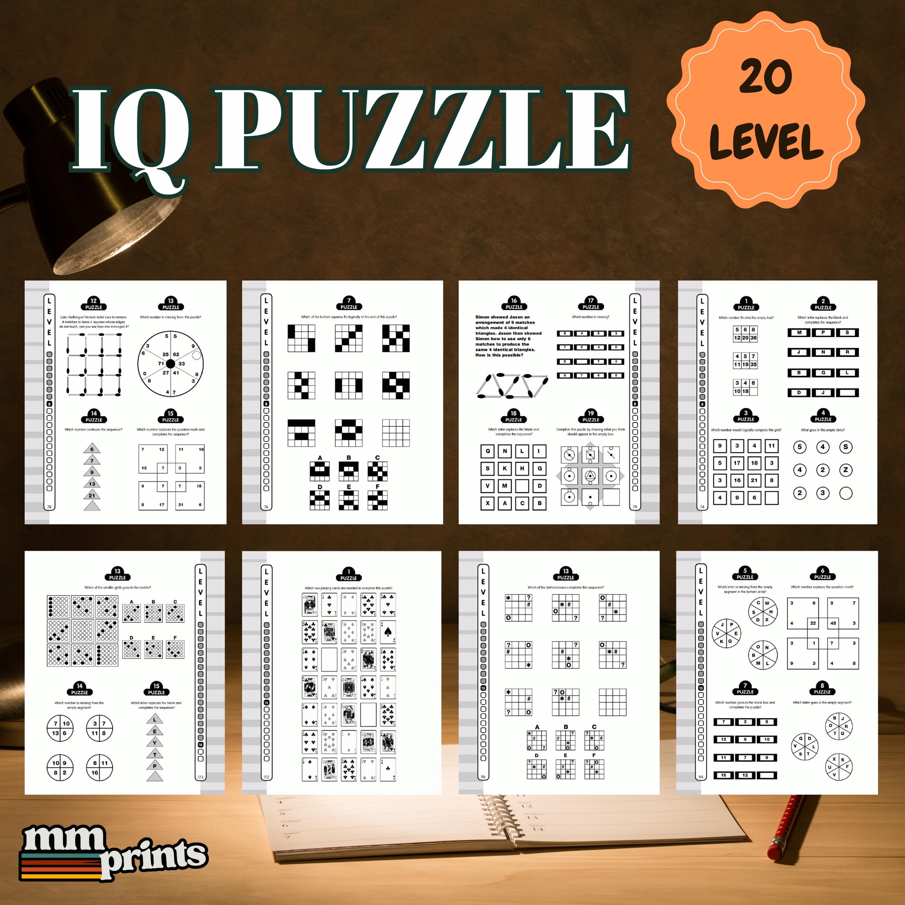 IQ Puzzle Test: 500+ Brain Teasers for Adults (digital Download