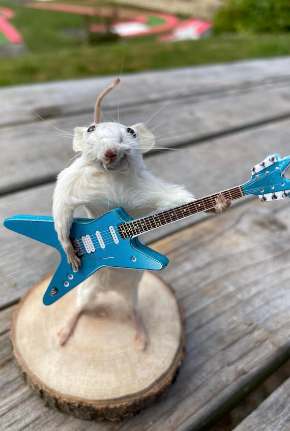 Rocket Strings - Taxidermy Mouse - Etsy
